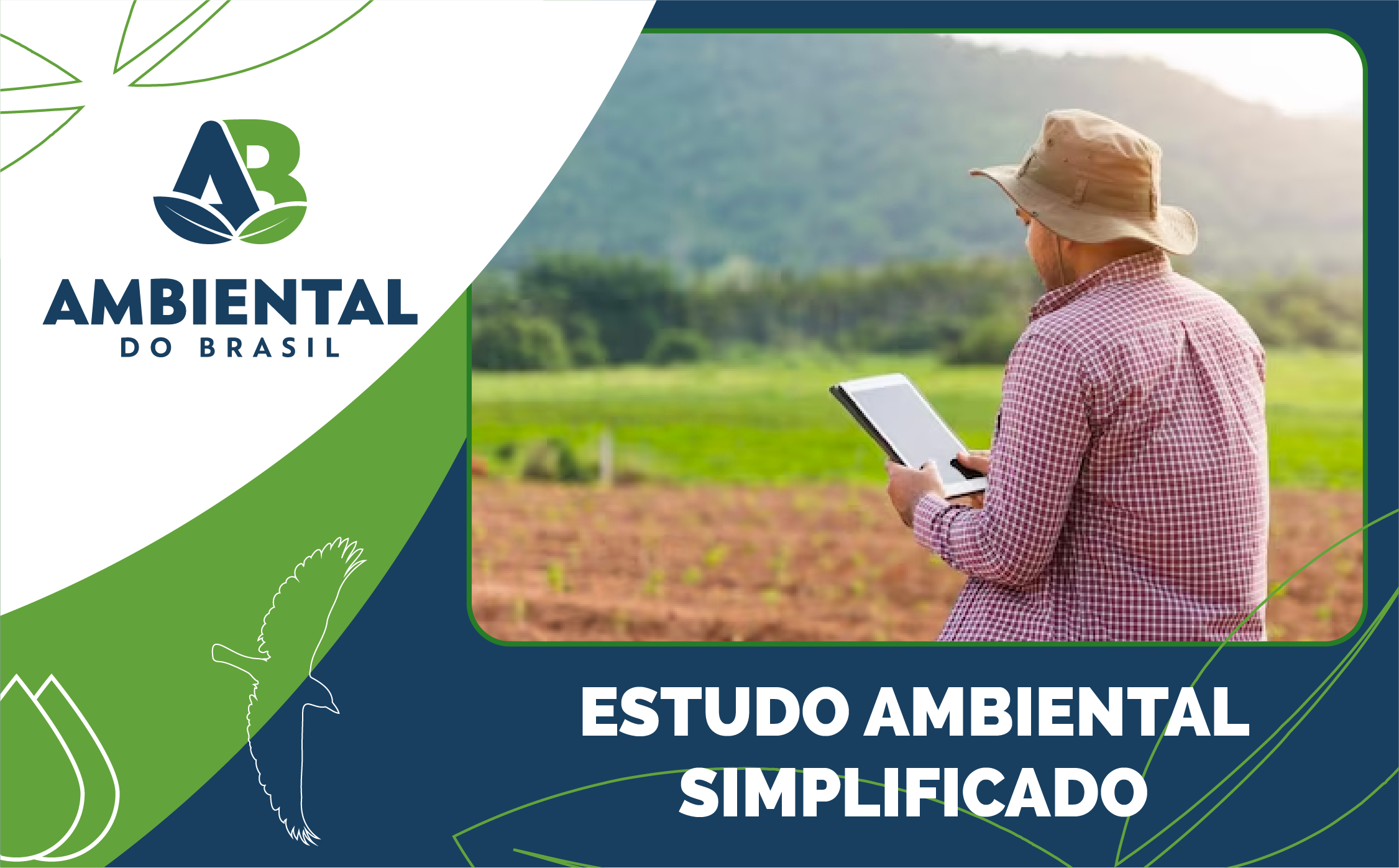 Estudo Ambiental Simplificado Ambiental Do Brasil